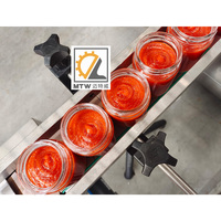MTW Remplisseuse automatique de suivi d'huile d'avocat pâte d'ail sauce Matcha miel ketchup