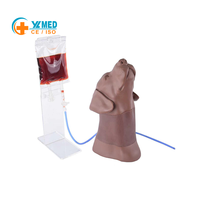 Modèle d'entraînement pour la ponction veineuse canine de la tête et du cou, pour la collecte de sang de la veine jugulaire externe du chien, avec circulation sanguine simulée
