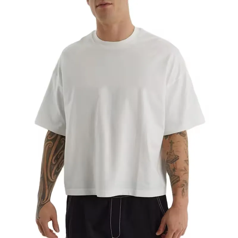 ODM 250 GSM 100 Cotton Plain Short Sleeve Oversized mens thick tshirt Heavyweight blank Custom Logo T Shirt for men