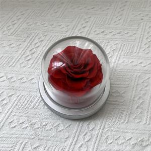 Lovebay Rosas Naturales Reales de Larga Duración, Inmortales, Eternas, Conservadas en Campana de Cristal para Regalo de San Valentín - Product Image 2
