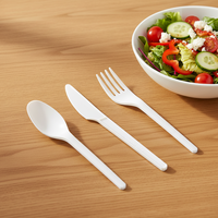 Greenday BPI Compostable 6 inch CPLA Bestek Wegwerpbestek Robuust Mes Vork Lepel Spork voor IJs Restaurant Fruit Salade Picknick