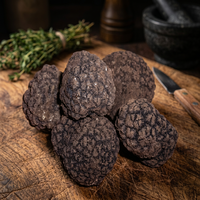 Truffe d'été séchée WILD TARTUFO Lucano Fresco, cultivée en forêt, de qualité supérieure, champignon noir entier, biologique, fabriqué en Italie, NORCINERIA