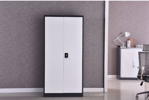 خزانة تخزين معدنية حديثة من تينجل TL-247 ببابين للمكتب، خزانة ملفات وتنظيم الملابس في ورش العمل - Product Image 6