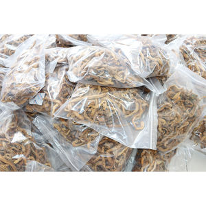 Esca da <span class=keywords><strong>pesca</strong></span> morbida esca da <span class=keywords><strong>pesca</strong></span> con verme sanguino liofilizzata <span class=keywords><strong>per</strong></span> la <span class=keywords><strong>pesca</strong></span> <span class=keywords><strong>in</strong></span> <span class=keywords><strong>mare</strong></span> - Product Image 3