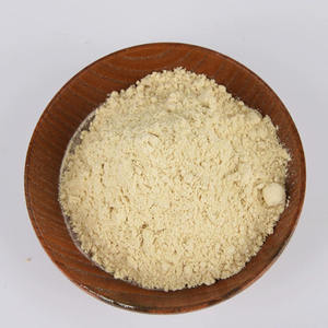 Polvo de Limón Liofilizado para Repostería, Polvo de Limón Mixto, Polvo de Frutas y Vegetales - Product Image 1