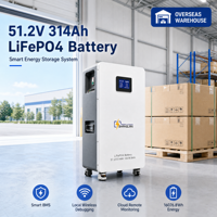 Batería de Litio LiFePO4 de 51.2V 314Ah 48V, 16kWh 15kWh 10kWh, con BMS Inteligente, WiFi y Monitoreo en la Nube, para Respaldo de Energía Solar Doméstica, en Stock en Polonia, UE