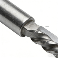 Fraise à micro-gravure artisanale en carbure, revêtement brillant, 2 cannelures, 65HRC, 4mm, pour routeur CNC, tête de meulage Corn Hedgehog, OEM