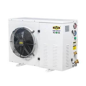 R404a condensing unit for cold room storage 220V/60HZ for Philippines refrigeration unit scroll condensing units for sal