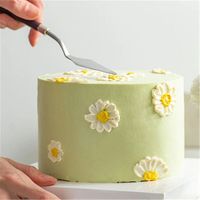 Kit de Pâtisserie 5 Pièces, Spatules en Acier Inoxydable à Manche Plastique pour Mélange, Peinture à l'Huile et Aquarelle, Ensemble de Grattoirs pour DIY et Outil à Gâteau