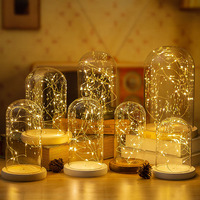 Figurine de fleur préservée en boîte surprise, dôme en verre borosilicate anti-poussière, guirlande lumineuse en fil de cuivre, forme géométrique, petite veilleuse