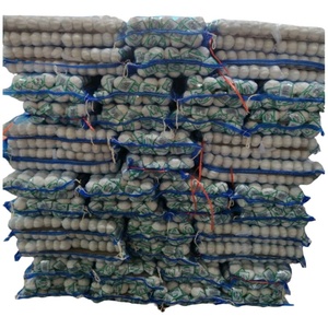 Buon prezzo 2025 vendite calde nuovo aglio fresco con 10KG /20KG sacchetto della maglia rosso aglio e puro aglio bianco per il commercio all'ingrosso - Product Image 2