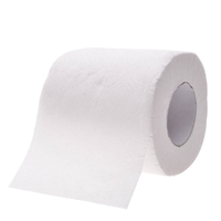 Papier toilette en gros de haute qualité OEM, en pâte vierge, économique, adapté à un usage domestique