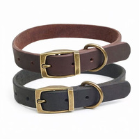 Ensemble collier et laisse pour chien de luxe, doux, durable, imperméable, avec décoration en plumes, motif de dessin animé pour petits animaux, 100% nylon