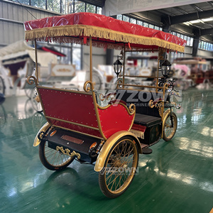 รถสามล้อไฟฟ้าขับเคลื่อน 3 ล้อ แบบแถวเดียว 6 สปีด โครงเหล็ก สำหรับนักท่องเที่ยว - Product Image 5