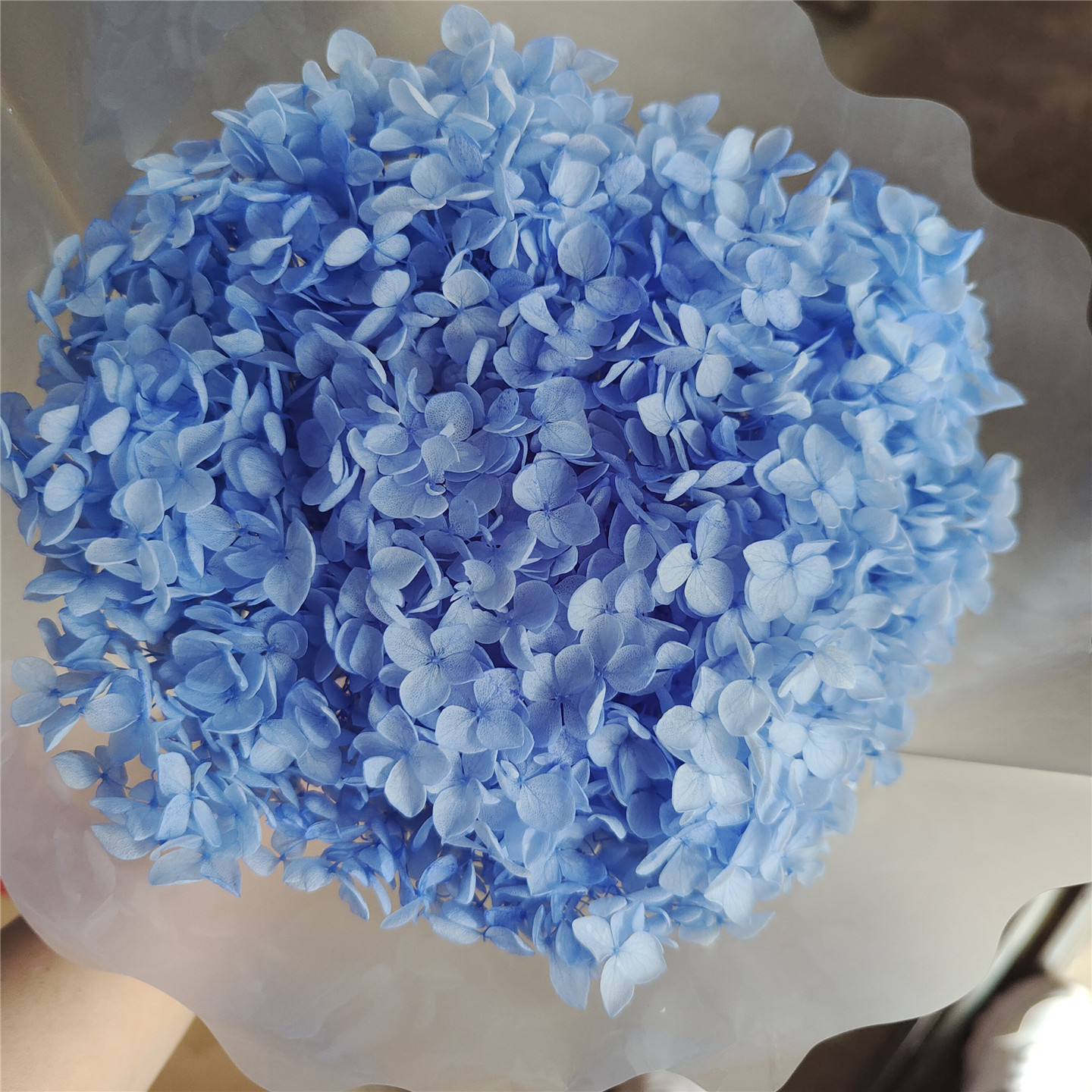 Light Blue, 18-21 cm