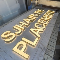 Lettres en relief 3D en acrylique personnalisées pour mur extérieur, rétroéclairées par LED, finition dorée polie, signalétique publicitaire pour entreprise, magasin, parc