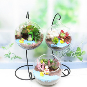 Vase en verre Globe suspendu D100mm avec un trou de vision ouvert pour plante de bricolage <span class=keywords><strong>mixte</strong></span> - Product Image 6