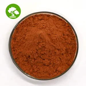 Additivi alimentari rosso cibo colore Paprika estratto in polvere capsantina in polvere estratto di peperoncino