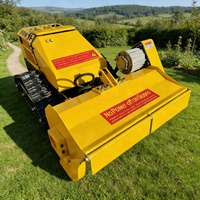 Tondeuse à fléaux agricole télécommandée de 800 mm à 4 temps pour usage domestique, robotique, à essence, sur chenilles, pour l'élagage des arbustes et la tonte de pelouse