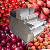 Automatische commerciële machine voor het ponsen en doorprikken van groenten en fruit, motor voor de verwerking van gedroogd fruit, lijn voor de verwerking van gekonfijt fruit