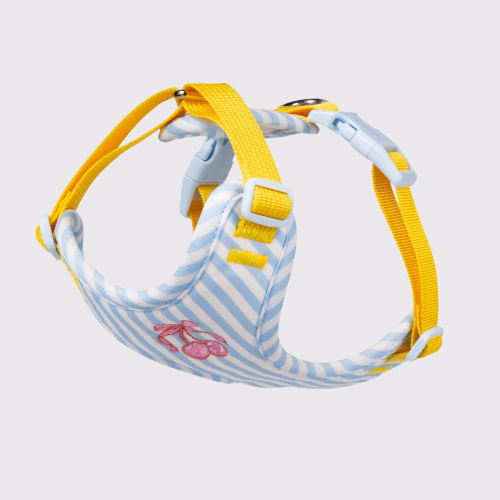 Blue-Harness