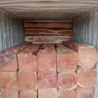 Bois exotique pour projets de bricolage de luxe et artisanat haut de gamme