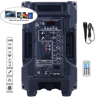 Système de sonorisation portable professionnel 300W avec haut-parleur de 8 pouces, Bluetooth, karaoké, TWS, micro, égaliseur et écho - Enceinte active