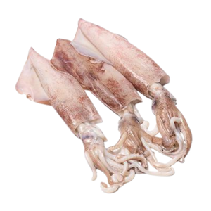 ปลาหมึกแช่แข็งคุณภาพสูงปลาหมึกจับอาหารทะเลขายส่งเซฟาโลพอด - Product Image 4