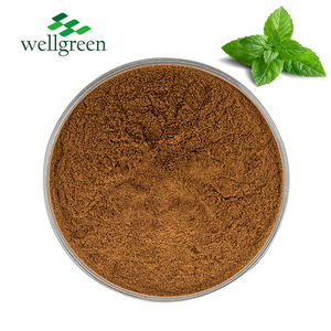 บริสุทธิ์100% Spearmint อาหารเกรดน้ำที่ละลายน้ำได้แห้งธรรมชาติ Herba ผงใบ101สารสกัดจากสะระแหน่ - Product Image 1