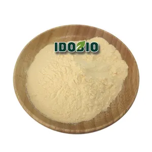 IdoBio reines Sanddorn-Frucht pulver/Sanddorn-Beeren pulver