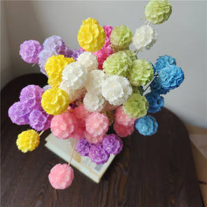 Accesorios de Flores Preservadas de China, Fruta de <span class=keywords><strong>Gusano</strong></span> de <span class=keywords><strong>Pino</strong></span> de una Sola Cabeza, Fruta Molino de Viento, Material para Manualidades, Caja de Flores con Tapa de Vidrio, Venta al por Mayor - Product Image 3