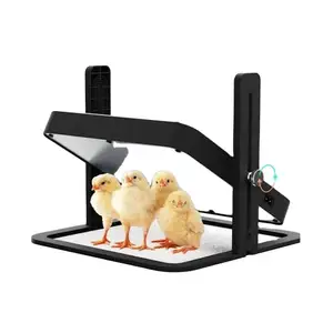 Comfort Coop Quail Chicks Brooding Heating Plates For 15 Chicks Popular Poultry Brooder For Height Angle Adjustable Brooder