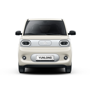 Auto Eléctrico de 4 Ruedas con Certificación EEC, Mini Auto Eléctrico, Mini Autos Eléctricos Chinos, Auto Eléctrico Homologado para Carretera - Product Image 2
