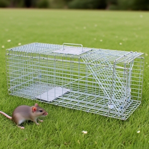 Piège à capture robuste pour écureuils sauvages, chats, <span class=keywords><strong>cage</strong></span> en métal pliable, forme carrée, pour la lutte antiparasitaire humaine, lapins errants - Product Image 5