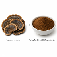 LCHBIO Fabriek Bulk Trametes Versicolor Extract 30% Polysacchariden UV Fruitlichaam Poeder Gezondheidsvoeding Kwaliteit Oplosmiddel Extractie