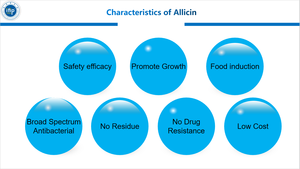 Penjualan Pabrik Aditif Pakan Unggas Allicin (CAS 539-86-6) Penarik Makanan Mengurangi Koksidiosis - Product Image 6