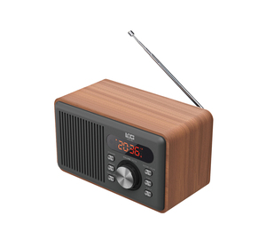 Speaker BT Radio Portabel Mendukung Pemutar Musik USB & Micro SD