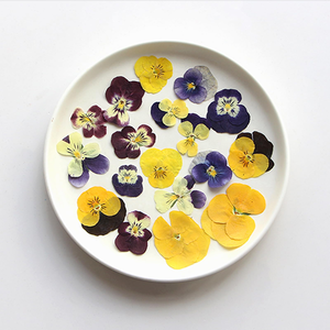 Decorazioni Fai-da-Te per Tavolo Dessert Matrimoniale, Fiori Secchi di Pansé, Fiori Viola Multicolore, Petali Pressati per Decorazioni - Product Image 4
