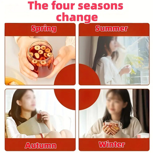 Tè alla frutta essiccato allo zenzero di longan alla bacca di Goji essiccato con tè alla frutta - Product Image 6