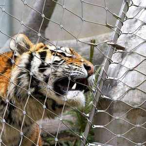 Filet anti-oiseaux pour enclos de zoo, clôture pour cages de tigres, <span class=keywords><strong>grillage</strong></span> pour volières, <span class=keywords><strong>maille</strong></span> en câble d'acier inoxydable flexible - Product Image 2