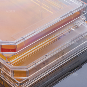 Plaque de culture cellulaire stérile à fond plat à puits unique avec couvercle transparent - Product Image 4