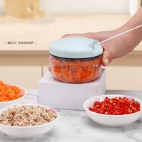 Robot culinaire de cuisine multifonction Portable Manuel Coupe-légumes Ail Oignon Salade de légumes Hachoir