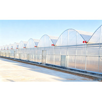 Serre multi-travées en polycarbonate avec structure en acier galvanisé à chaud, résistante aux UV, pour la culture de légumes et de fleurs
