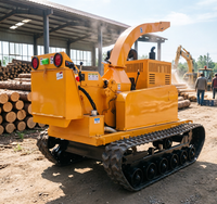 Broyeur de bois sur chenilles maniable, débit de 5 tonnes par heure avec conception anti-blocage pour le déblaiement des dégâts d'ouragan