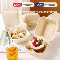 Boîte à mini-gâteaux et burgers surélevée en bagasse de canne à sucre, conteneur alimentaire compostable, boîte à clapet 100% biodégradable