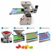 Équipement automatique de dépose de bonbons gélifiés à petite échelle, machine à fabriquer des bonbons et du chocolat