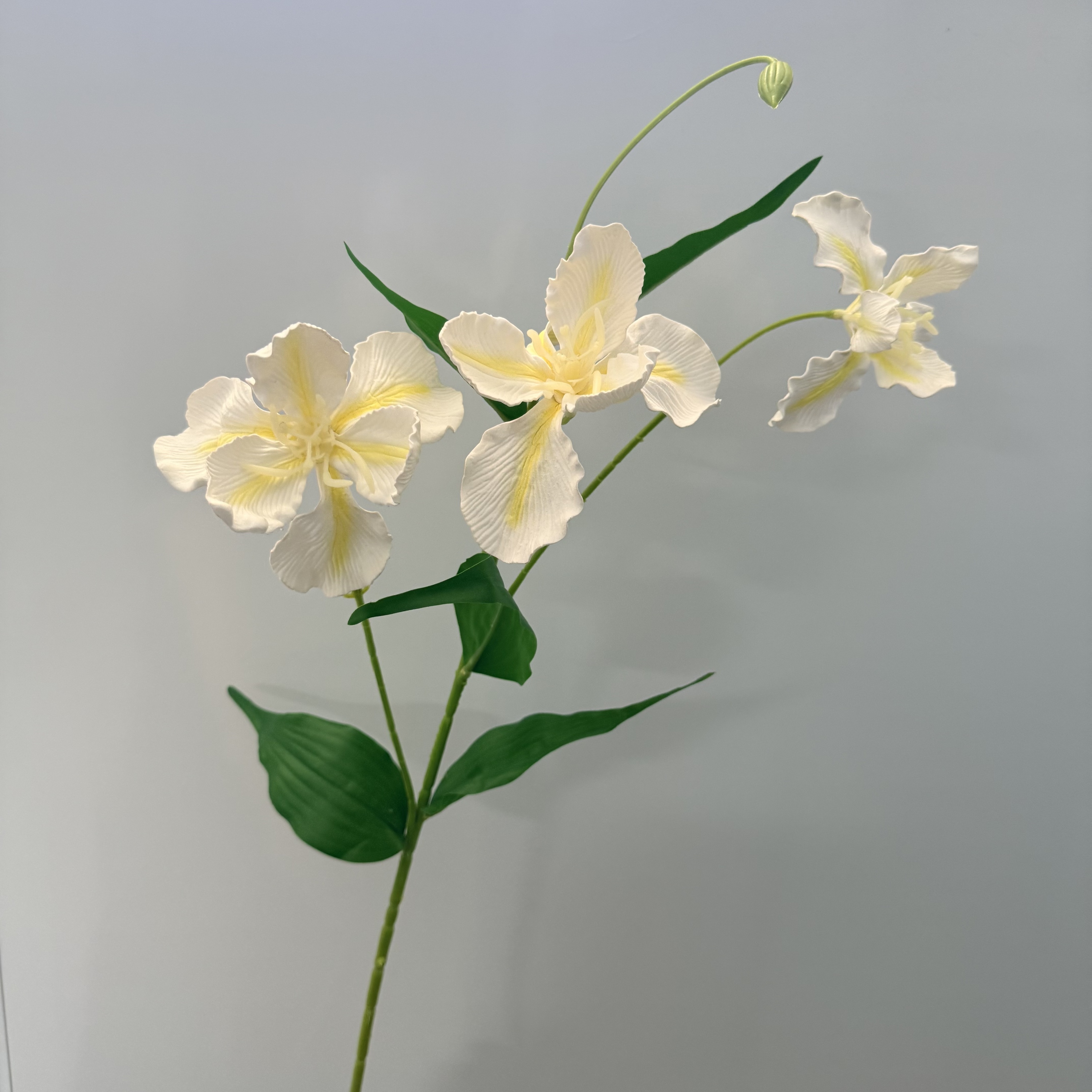 Blanc crème