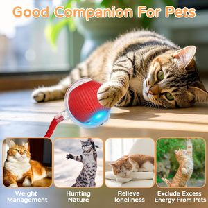 Cat <strong>Toy</strong> <strong>Kitten</strong> <strong>Toys</strong> <strong>for</strong> Indoor Interactive Kitty Ball <strong>Toy</strong> Speedy Tail 360&deg; Automatic Rolling Cat Ball - Product Image 3