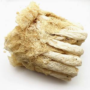 Jamur Bambu Kering Phallus Impudicus Alami Pilihan & ZhuSun - Product Image 5