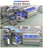 Laveuse commerciale à trois cuves pour légumes, fruits et salades, avec déshydrateur centrifuge et système de stérilisation à l'ozone